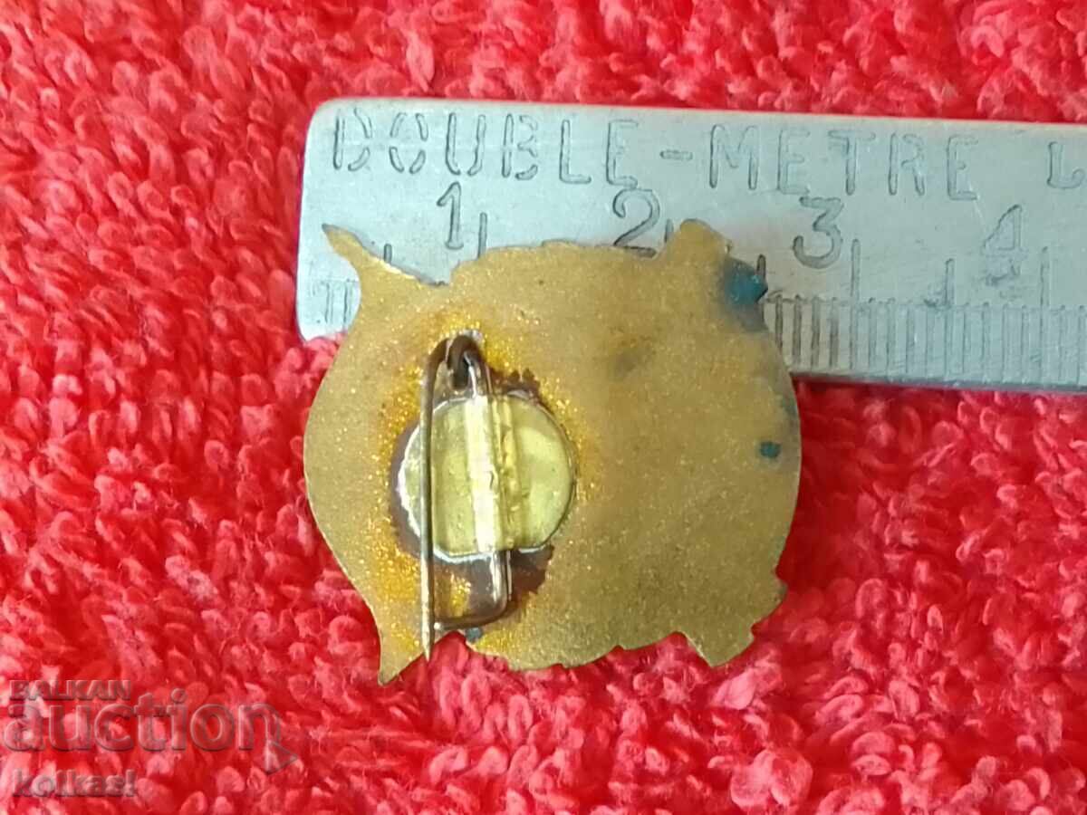 Παλιό κοινωνικό σήμα σμάλτο ΤΙΜΕΣ Υπουργείο Εξωτερικών με τιμή € 10.74 | 21.01 BGN