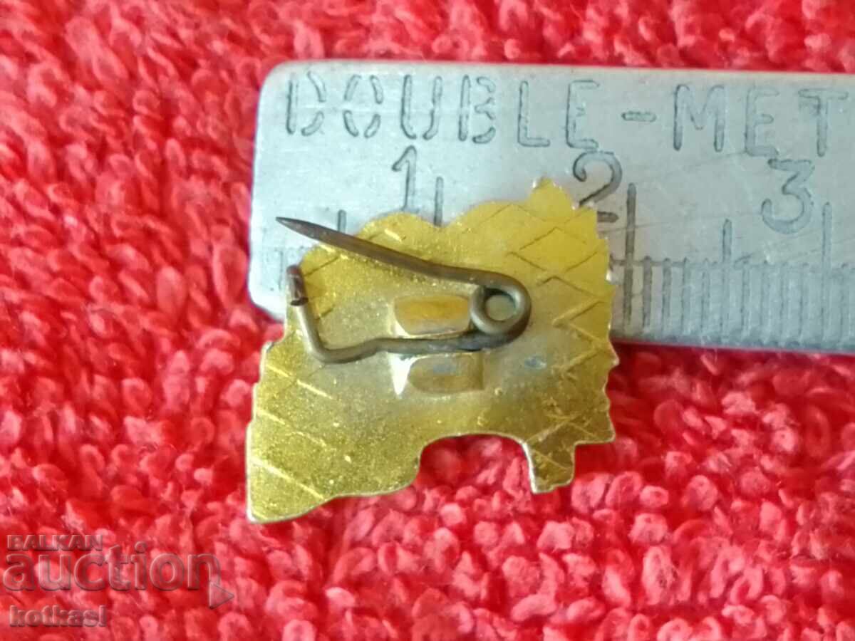 Old social badge ETERNAL FRIENDSHIP with price 3.50 BGN | € 1.79 Old social badge ETERNAL FRIENDSHIP with price 3.50 BGN | € 1.79