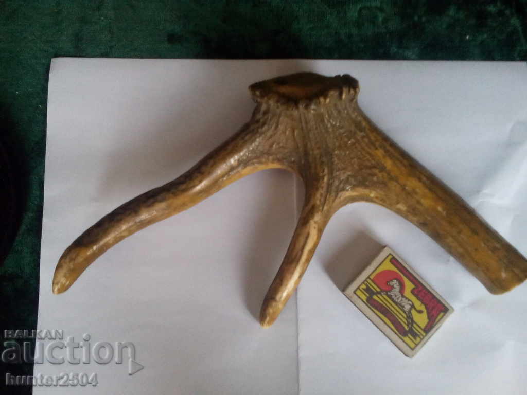 Deer antler for knife handles or button making, souvenirs with price € 9.95 | 19.46 BGN