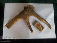ELEN Horn for knife handles or button making, souvenirs