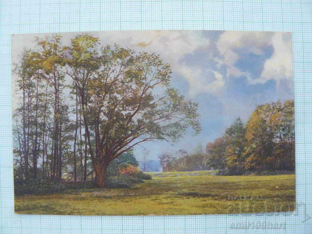 Old postcard- Landscape