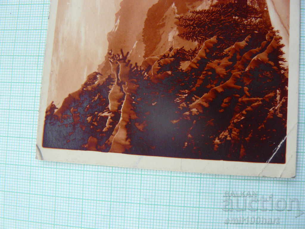 Old postcard- Congratulation Switzerland 1929 with a stamp with price 0.50 BGN | € 0.26 Old postcard- Congratulation Switzerland 1929 with a stamp with price 0.50 BGN | € 0.26