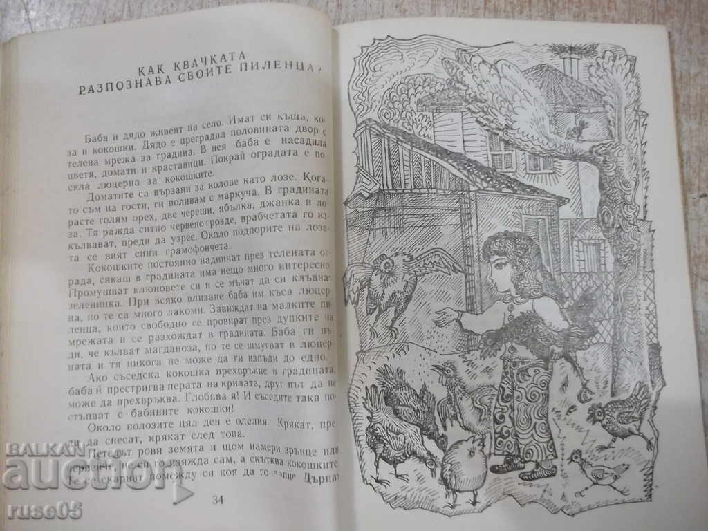 Delivery of The Book "Where the Sky Ends - Vasilka Hinkova" - 136 pages. Delivery of The Book "Where the Sky Ends - Vasilka Hinkova" - 136 pages.