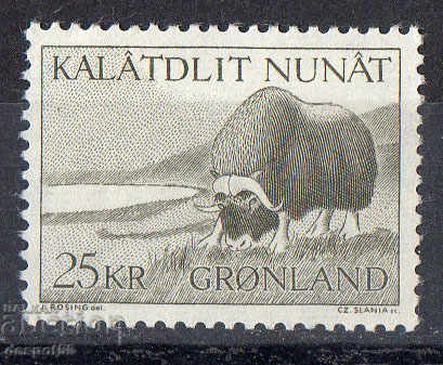 1969. Greenland. Musk ox.