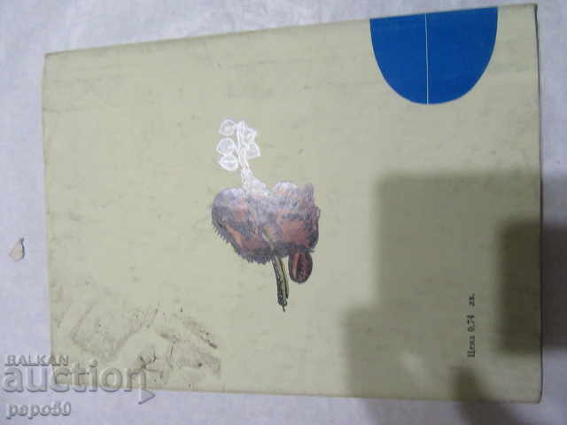 THE WILD BITCH OF KAZAN / P N F - №130 / - 1976 - 5