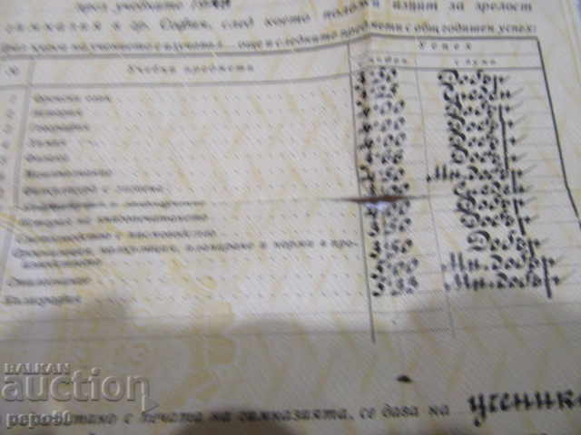 Certificat de maturitate - 1950 - 6 Certificat de maturitate - 1950 - 6