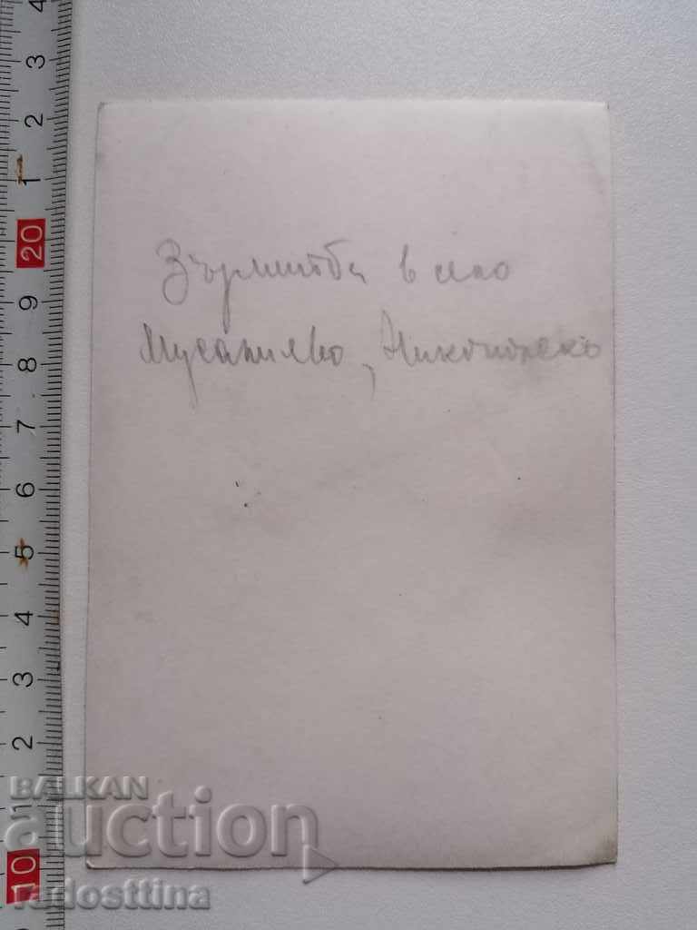 Old photo Mursalievo Nikopol Scale truck with price 10.00 BGN | € 5.11 Old photo Mursalievo Nikopol Scale truck with price 10.00 BGN | € 5.11