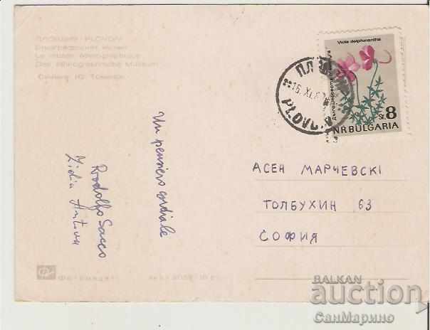 Card Bulgaria Plovdiv Ethnographic Museum 12 * with price 0.60 BGN | € 0.31 Card Bulgaria Plovdiv Ethnographic Museum 12 * with price 0.60 BGN | € 0.31