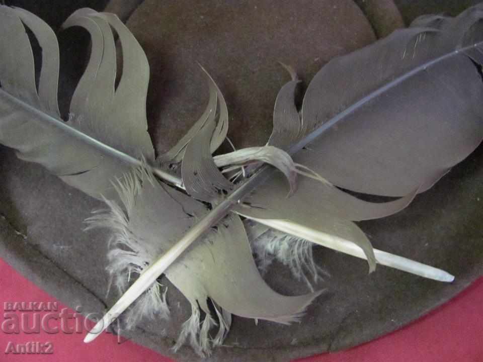 19th Century Women's Hat Felt - 5 19th Century Women's Hat Felt - 5