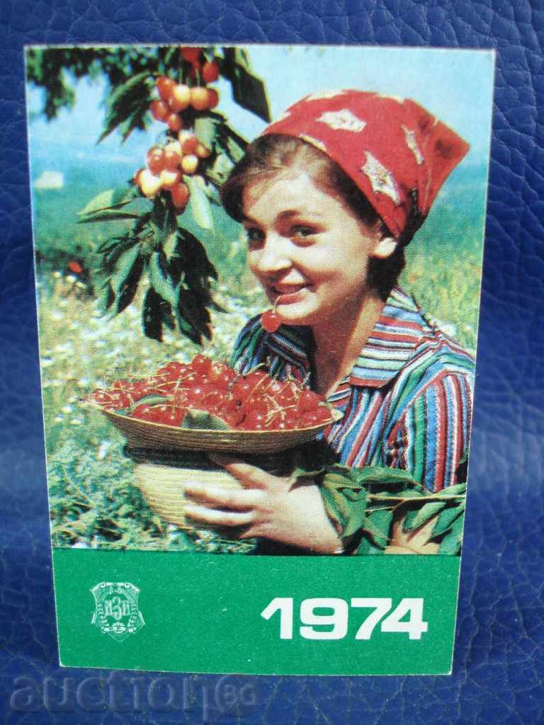 4979 Bulgaria calendar DZI insurance 1974