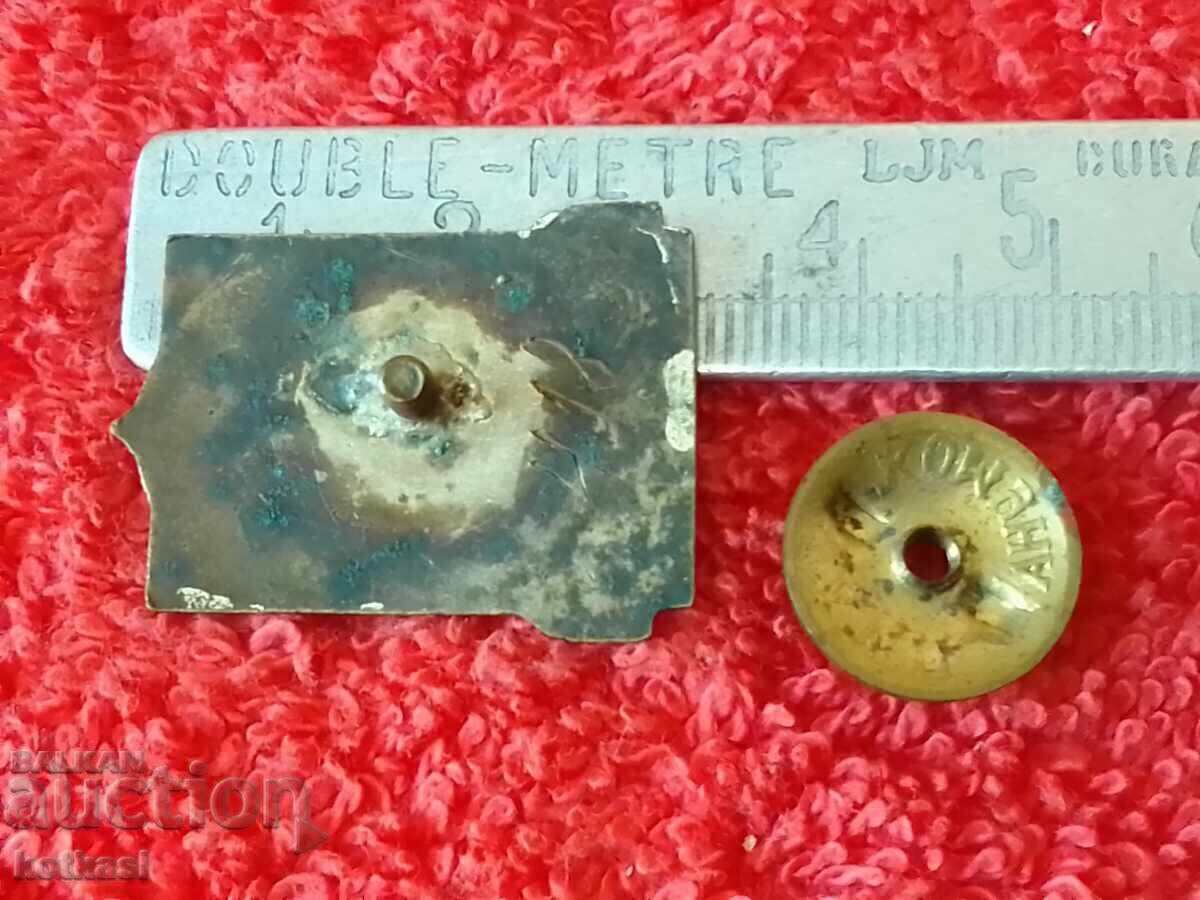 Ecuson Vechi Ecuson ALPINIST NRB 1-a cu șurub emailat numeric cu preț € 23.26 | 45.49 BGN