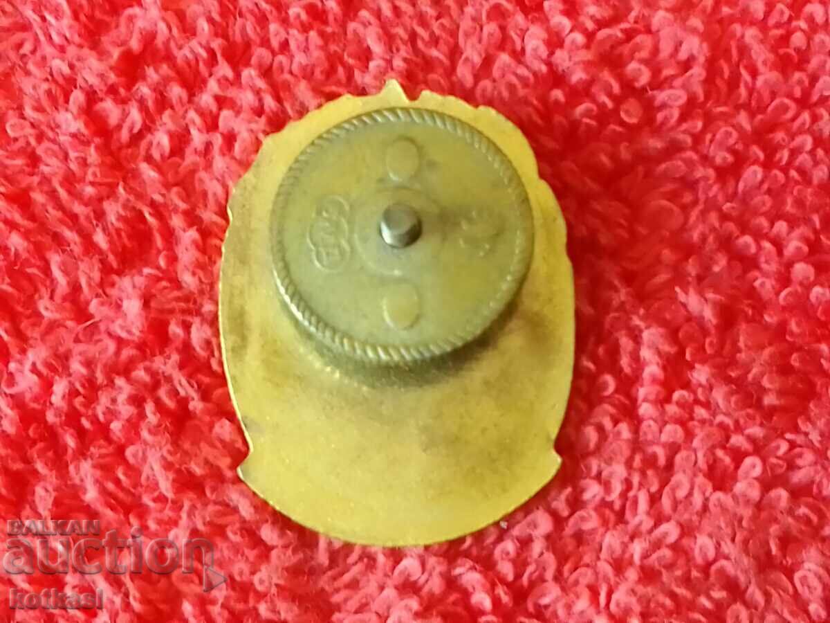 Auction Old soc Badge Badge enamel screw AWARD FOR READING ACTIVITY Auction Old soc Badge Badge enamel screw AWARD FOR READING ACTIVITY