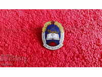 Old soc Badge Badge enamel screw AWARD FOR READING ACTIVITY