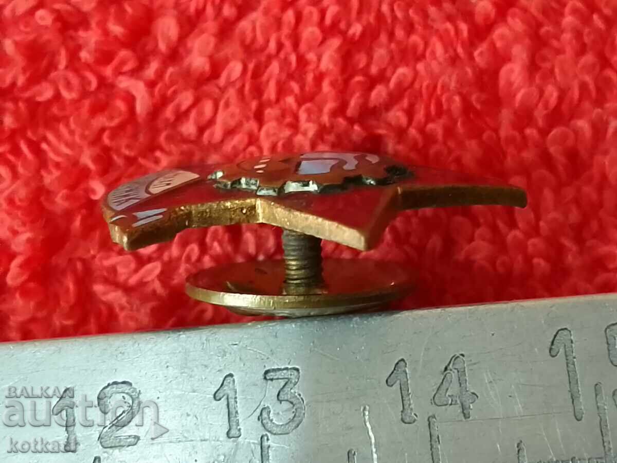 Delivery of Rare Star Sign Badge EXCELLENT MLHP Enamel Screw-on Excellent Delivery of Rare Star Sign Badge EXCELLENT MLHP Enamel Screw-on Excellent