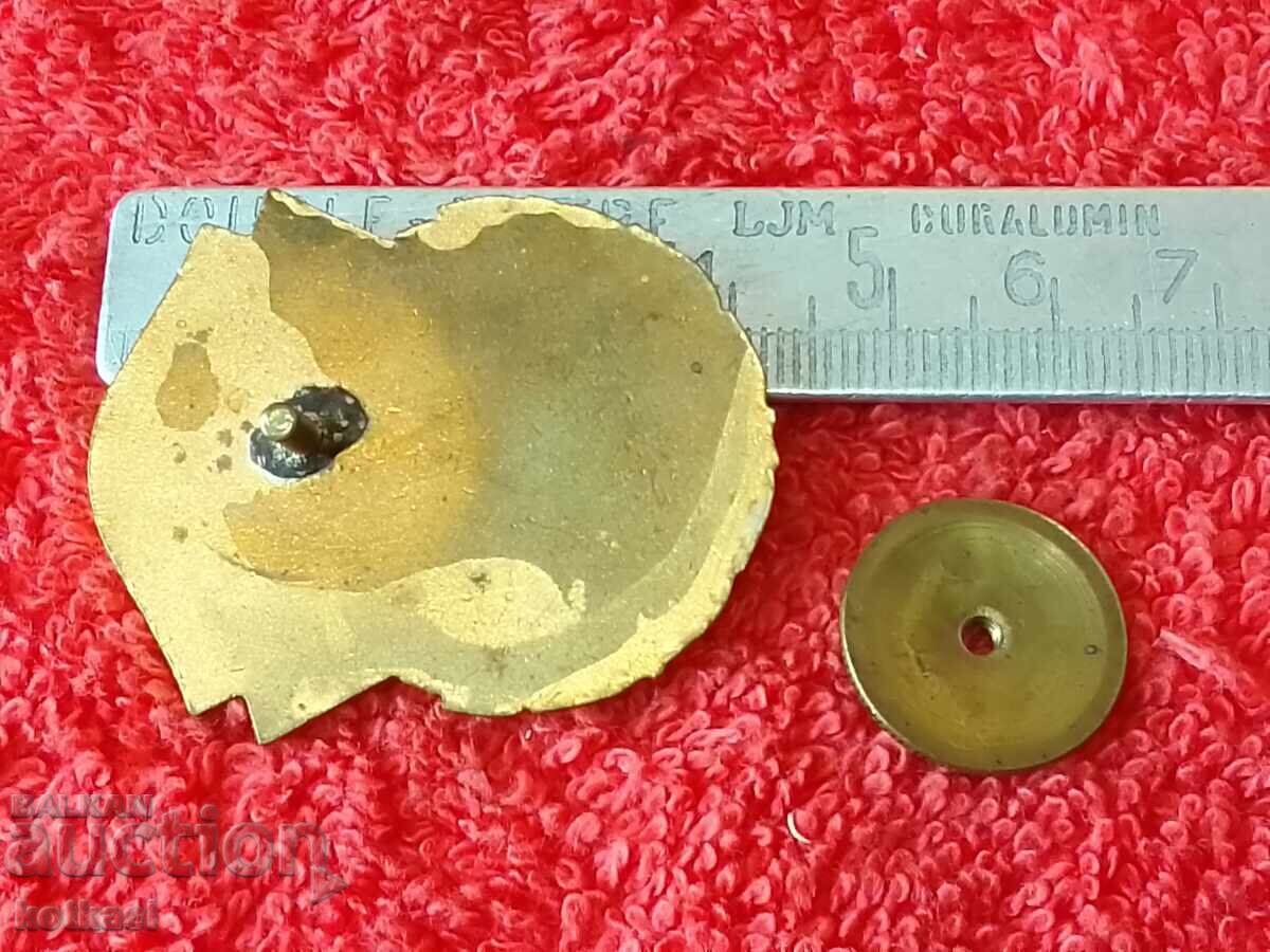 Old social sign badge on screw enamel FOR STRONG WORK with price 65.00 BGN | € 33.23