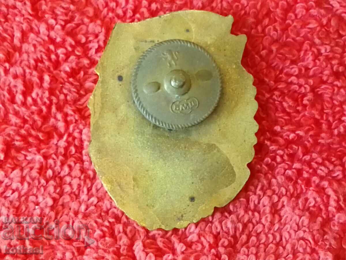 Auction  Old enamel badge EXCELLENT in military and political training screw
