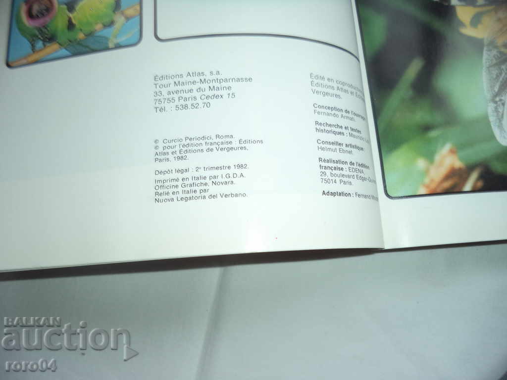 FOTOGRAFII - 6 probleme - 5 FOTOGRAFII - 6 probleme - 5