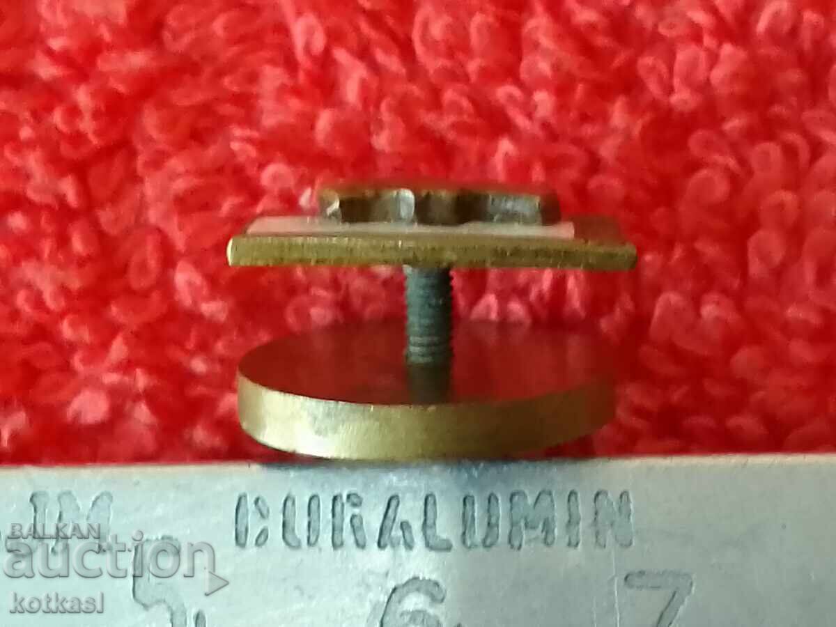 Delivery of Old Soc Polish Military Insignia on a screw miniature