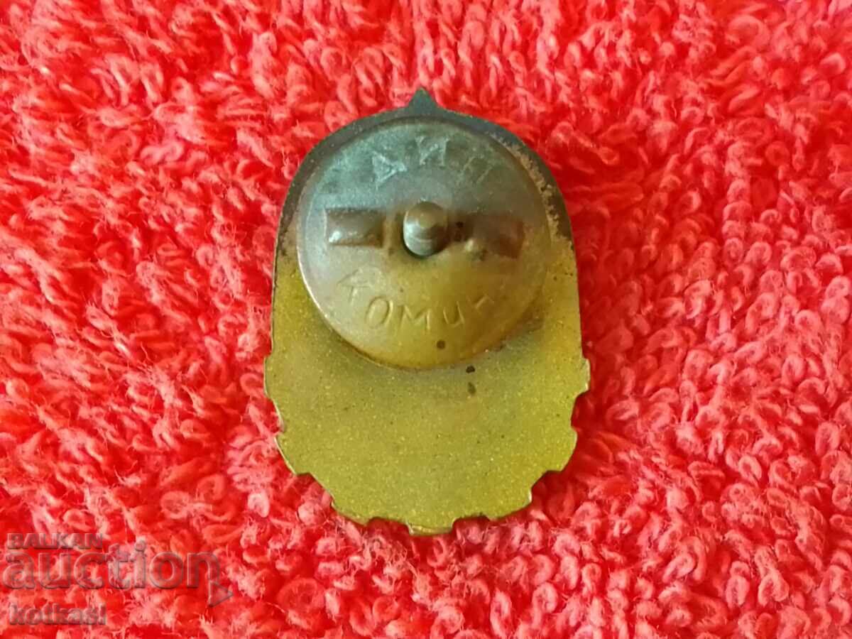 Auction Old Social Badge Badge enamel screw YOUNG TECHNICIAN gilding Auction Old Social Badge Badge enamel screw YOUNG TECHNICIAN gilding