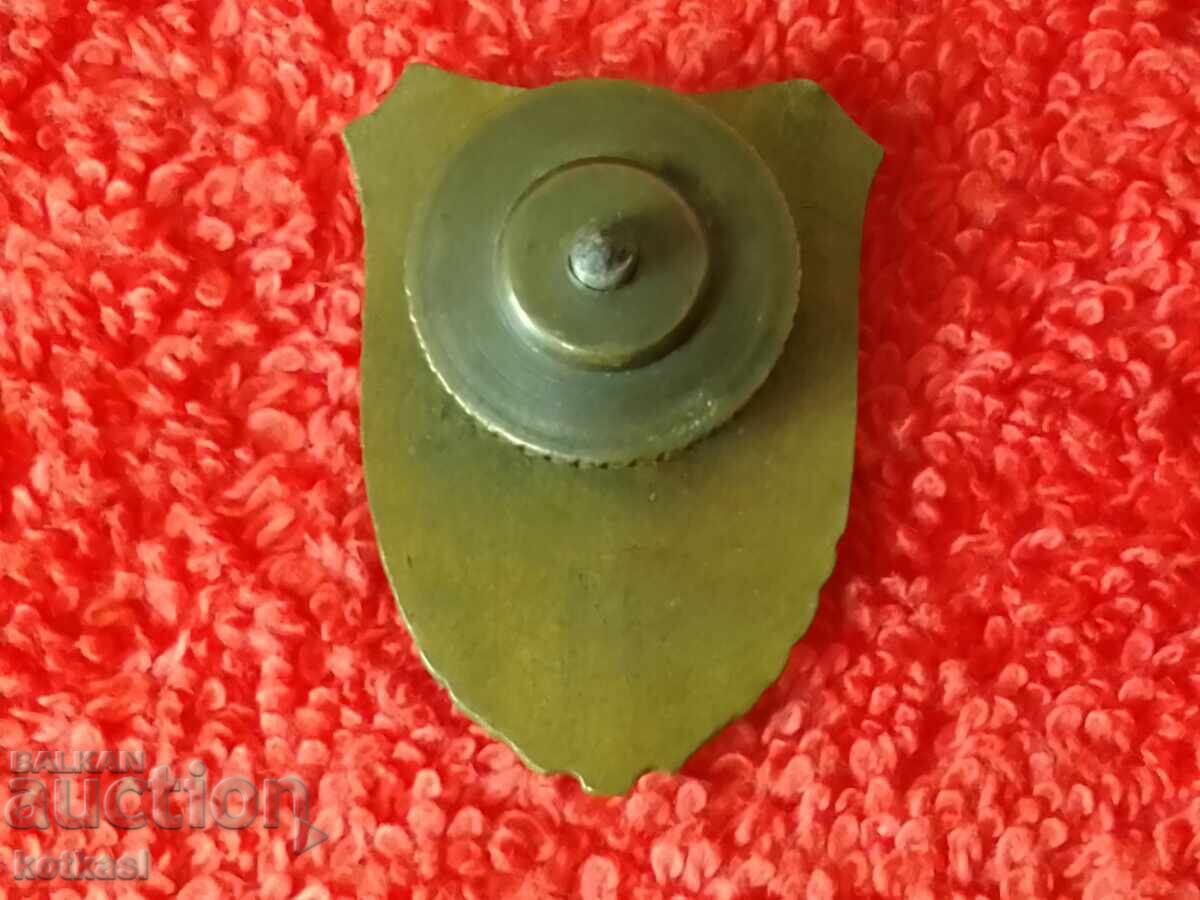 Auction  Old Social Sign Badge screw enamel relief EXCELLENT BORDER GUARD