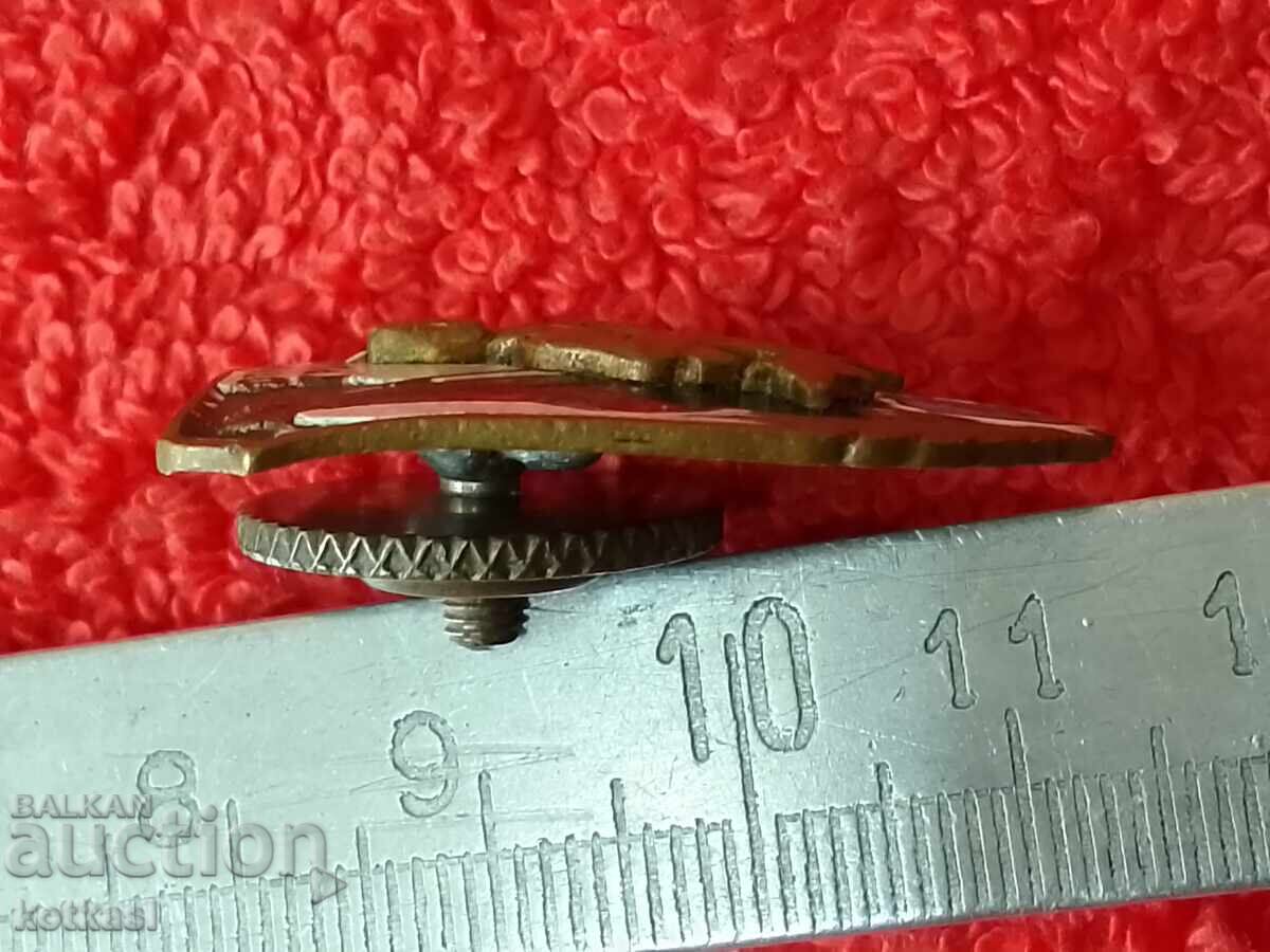 Delivery of Old Social Sign Badge screw enamel relief EXCELLENT BORDER GUARD