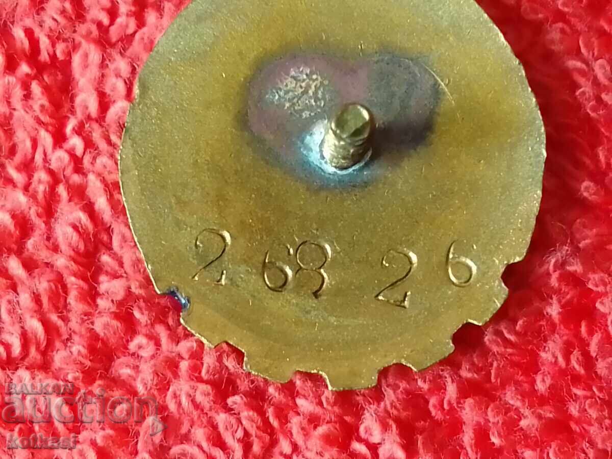 Auction Old social sign badge enamel screw Third Class with number excellent Auction Old social sign badge enamel screw Third Class with number excellent