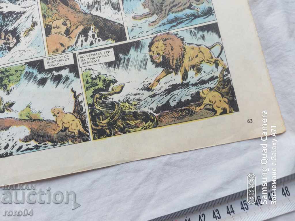 ουράνιο τόξο - 7 ουράνιο τόξο - 7