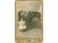 OLD PHOTOGRAPH - CARDBOARD - RUSE - S163