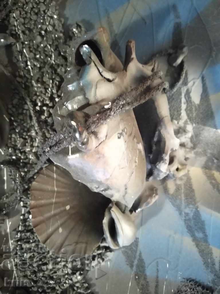 Ζωγραφική «Βυθός». με τιμή 30.00 BGN | € 15.34 Ζωγραφική «Βυθός». με τιμή 30.00 BGN | € 15.34