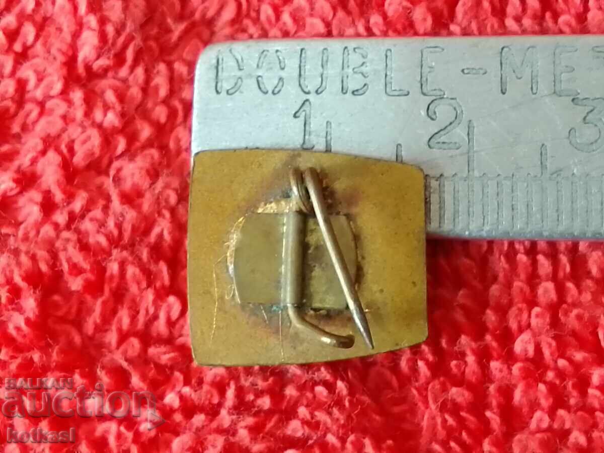Old social badge bronze enamel DKMS Georgi Dimitrov excellent with price 2.50 BGN | € 1.28 Old social badge bronze enamel DKMS Georgi Dimitrov excellent with price 2.50 BGN | € 1.28