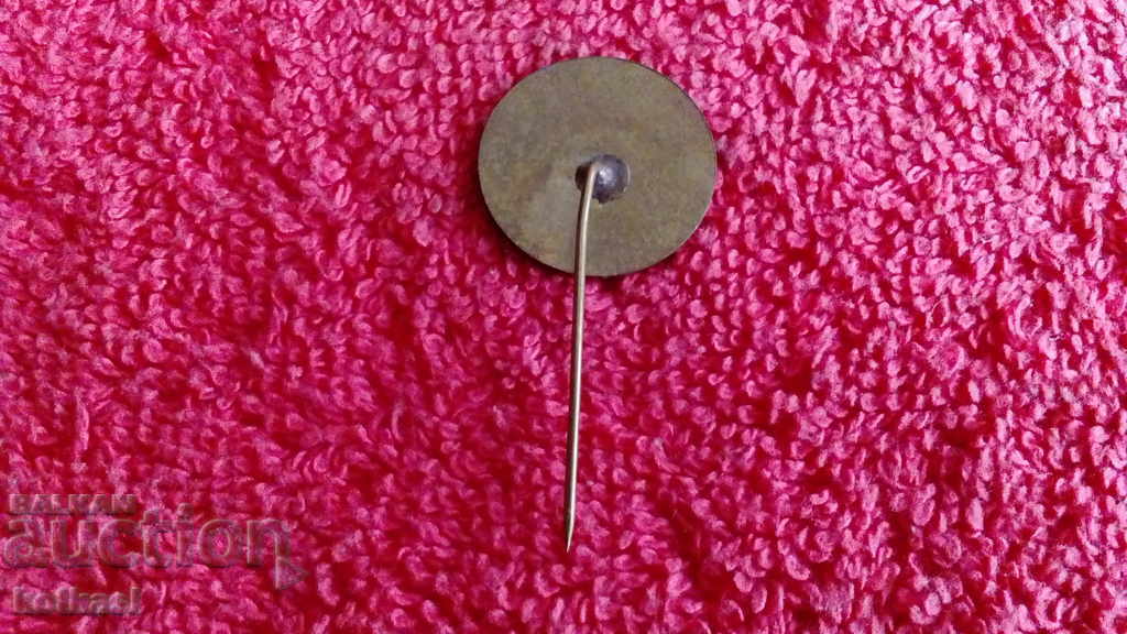 Auction Old social badge on a pin, 30 years MVR (Ministry of Internal Affairs) Auction Old social badge on a pin, 30 years MVR (Ministry of Internal Affairs)