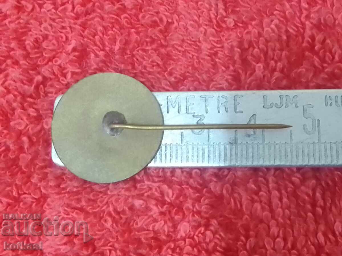 Delivery of Old social badge on a pin, 30 years MVR (Ministry of Internal Affairs) Delivery of Old social badge on a pin, 30 years MVR (Ministry of Internal Affairs)