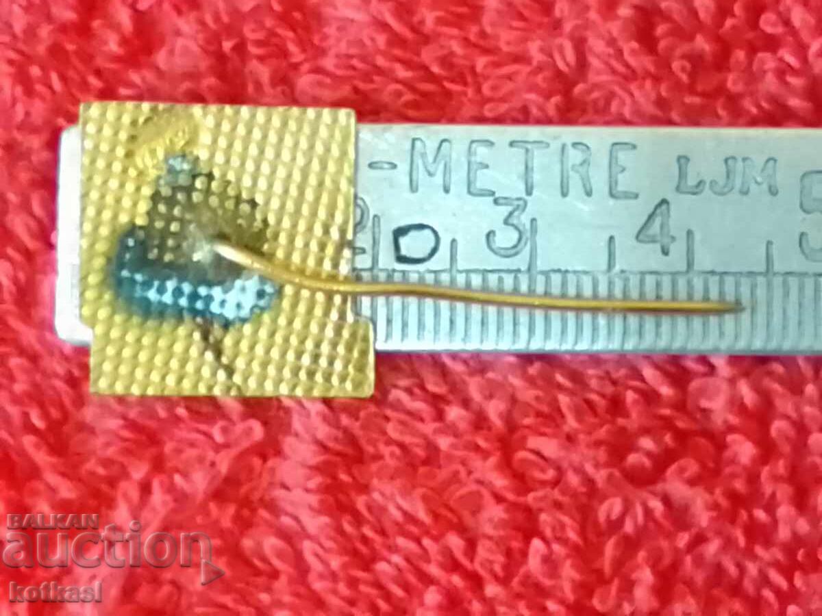 Delivery of Old badge bronze enamel pin Georgi Dimitrov mail excellent Delivery of Old badge bronze enamel pin Georgi Dimitrov mail excellent