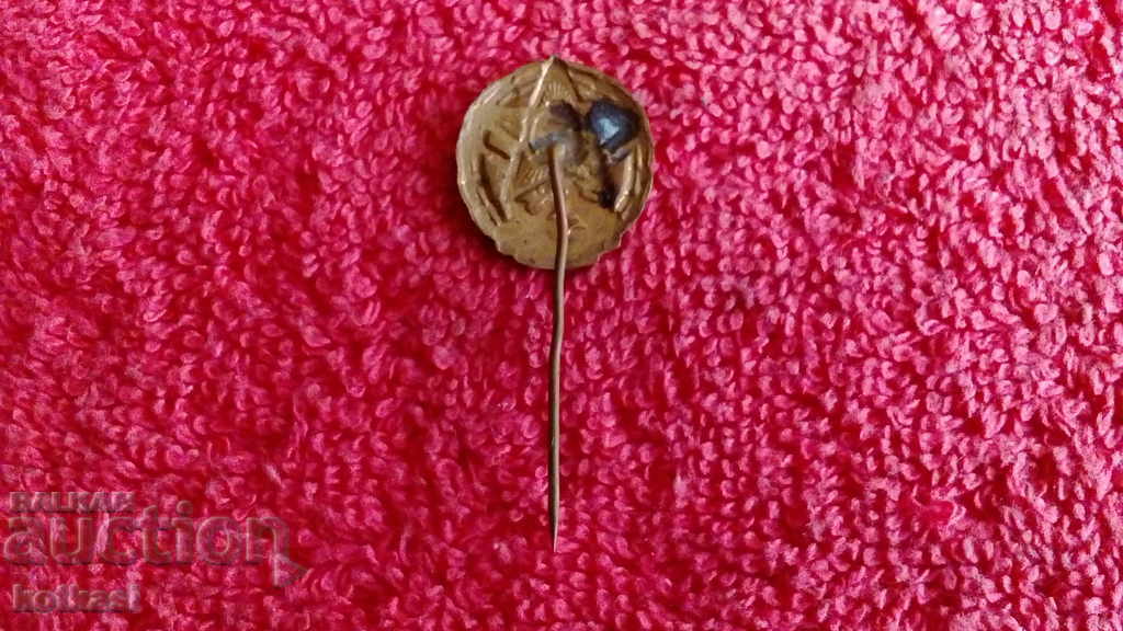 Auction Old Soviet badge bronze enamel pin DOSO Auction Old Soviet badge bronze enamel pin DOSO