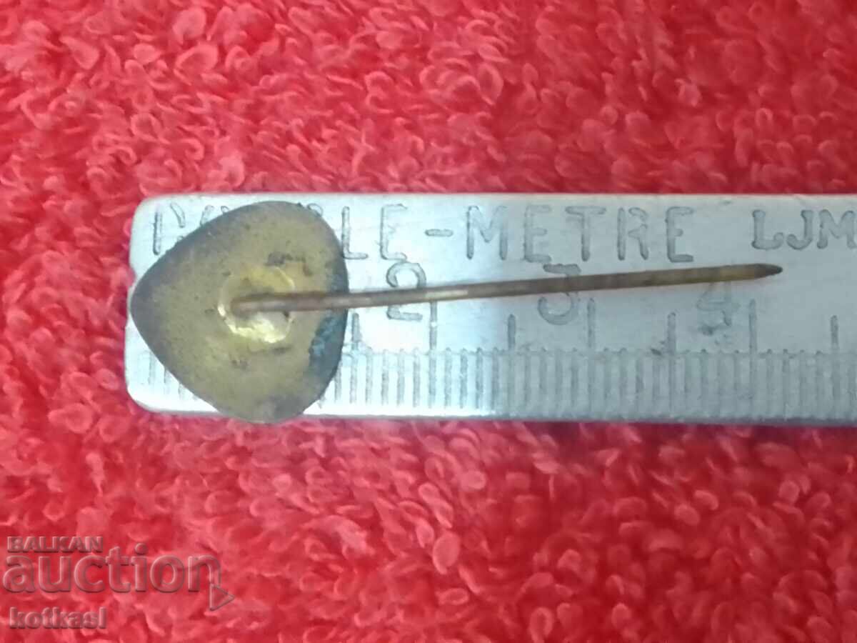 Delivery of Old enamel badge bronze pin Bulgarian Red Cross Blood Donor Delivery of Old enamel badge bronze pin Bulgarian Red Cross Blood Donor