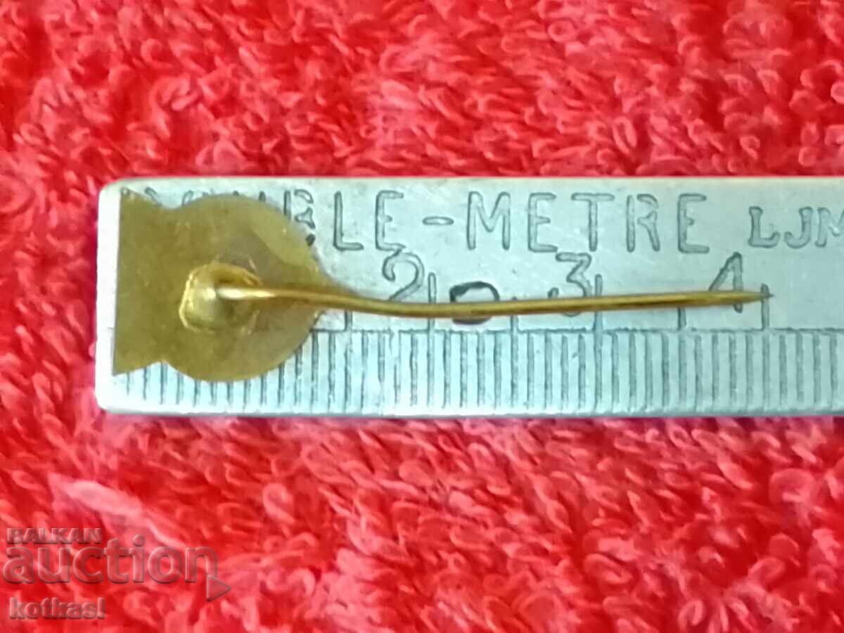 Delivery of Old sports social badge pin BULGARIAN FOOTBALL FEDERATION Delivery of Old sports social badge pin BULGARIAN FOOTBALL FEDERATION