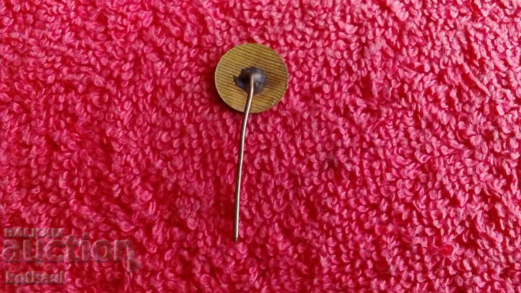 Auction Old social security badge bronze blue enamel pin RESPROM excellent Auction Old social security badge bronze blue enamel pin RESPROM excellent