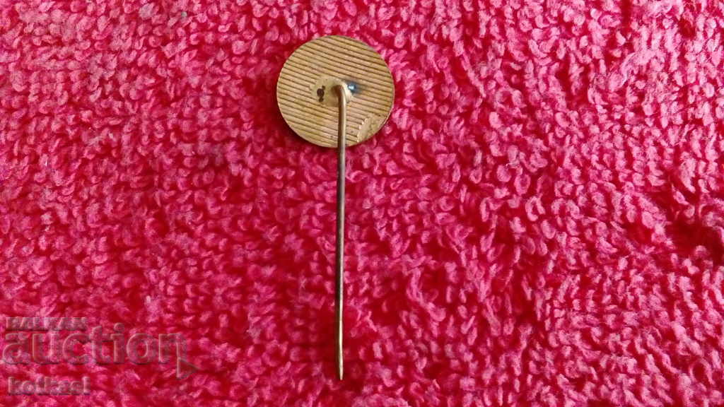 Livrarea Veche insignă de securitate socială bronz rosu email pin RESPROM excelent Livrarea Veche insignă de securitate socială bronz rosu email pin RESPROM excelent