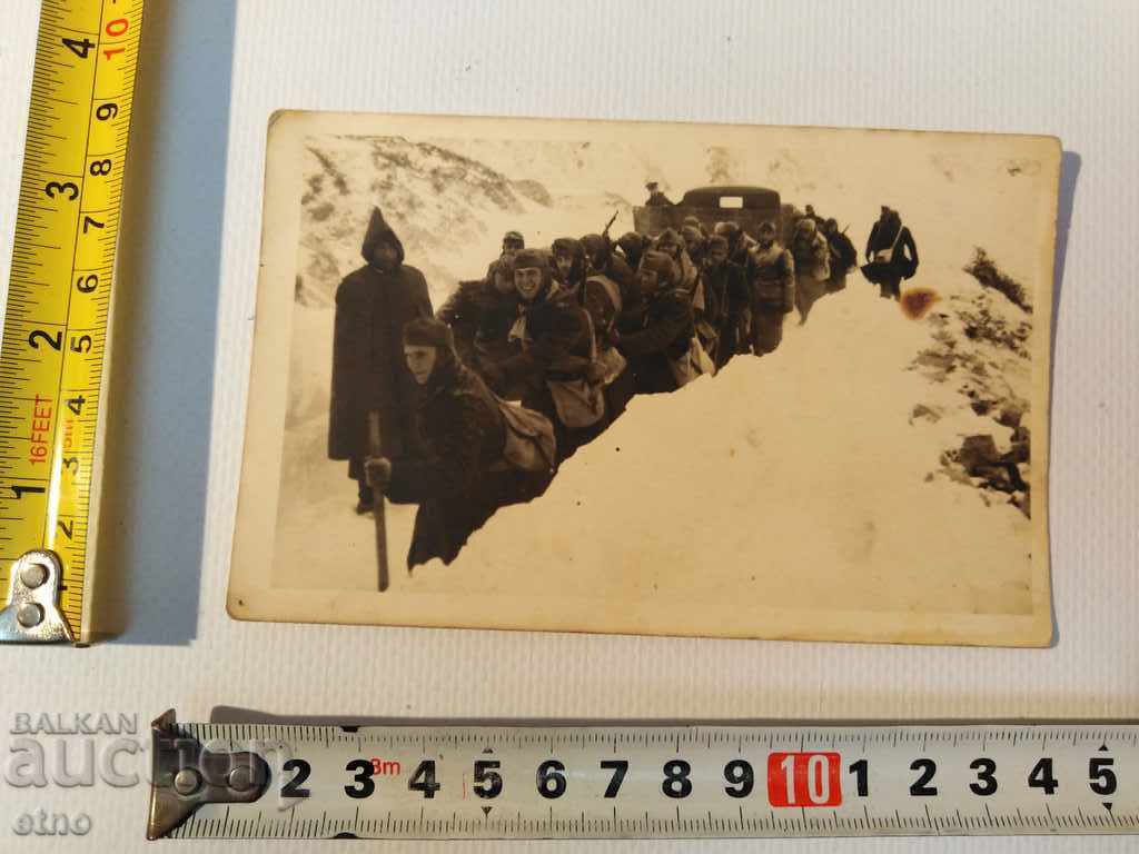 PSV 1916 FRONT-Tzar Φωτογραφία - ΜΕΛΛΟΝ, SHICK, ΟΜΟΙΟΠΑΘΗ