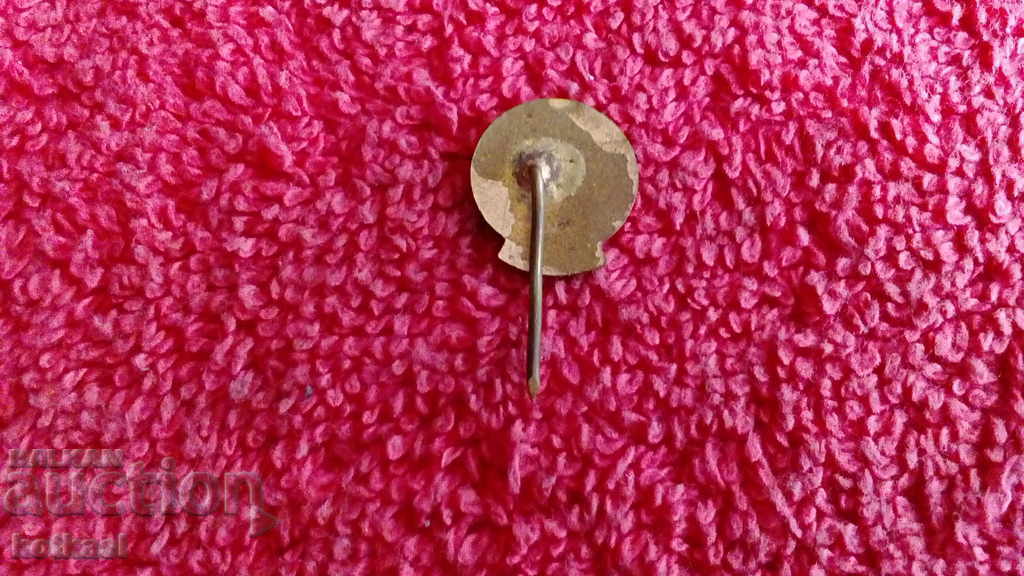 Auction Old Soviet badge, bronze, enamel, pin, BTS Auction Old Soviet badge, bronze, enamel, pin, BTS