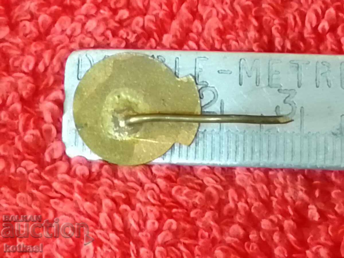 Delivery of Old Soviet badge, bronze, enamel, pin, BTS Delivery of Old Soviet badge, bronze, enamel, pin, BTS