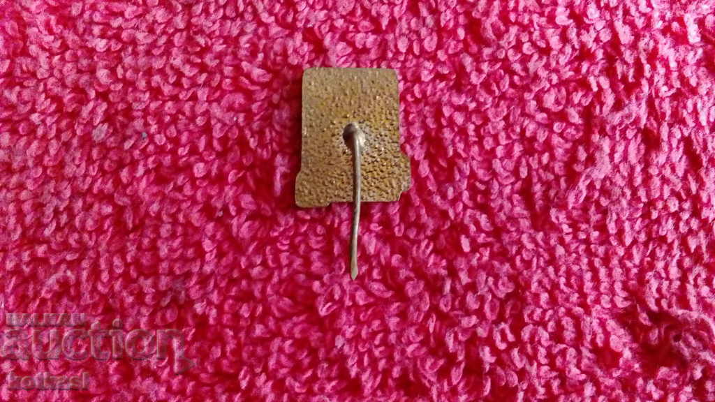 Auction Old social badge bronze enamel pin TOURIST NRB Auction Old social badge bronze enamel pin TOURIST NRB