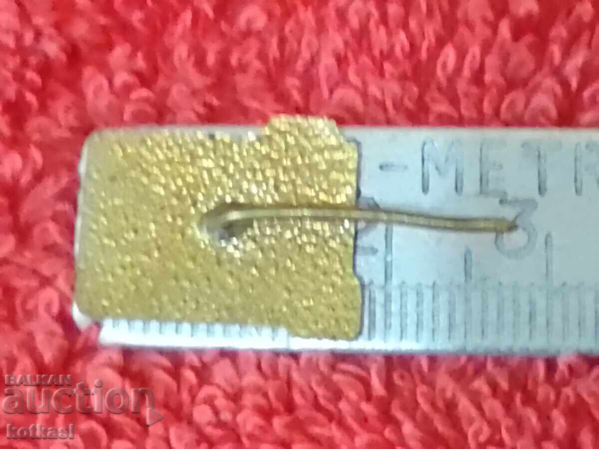 Delivery of Old social badge bronze enamel pin TOURIST NRB Delivery of Old social badge bronze enamel pin TOURIST NRB