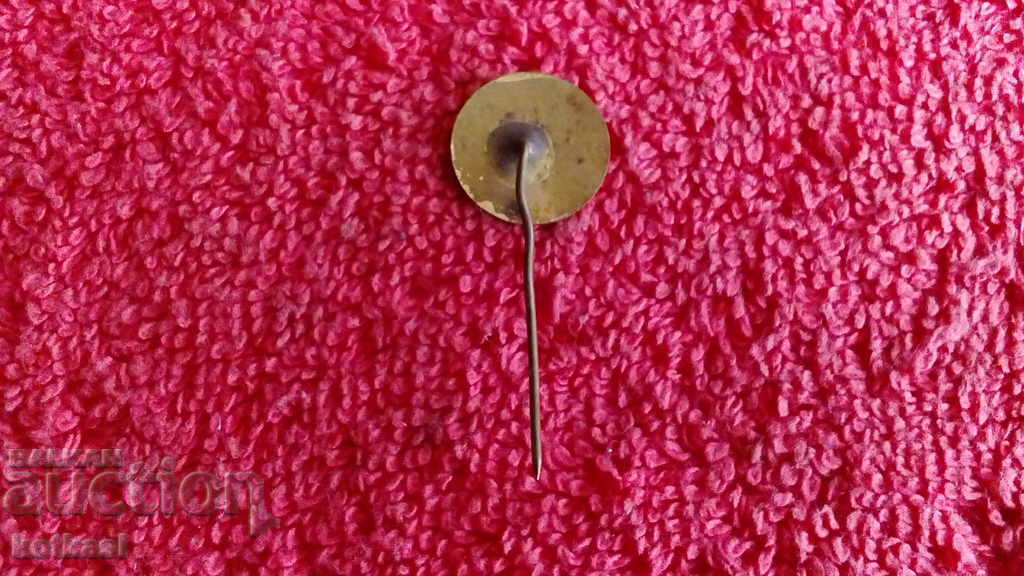 Licitație Veche insignă de serviciu social bronz email pin BGSO BRC excelent Licitație Veche insignă de serviciu social bronz email pin BGSO BRC excelent