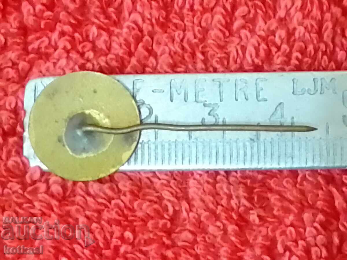 Livrarea Veche insignă de serviciu social bronz email pin BGSO BRC excelent Livrarea Veche insignă de serviciu social bronz email pin BGSO BRC excelent