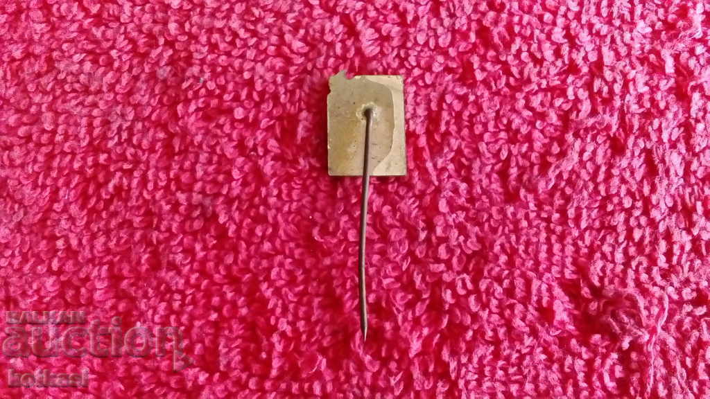 Livrarea Old Social Badge Bronz Email Pin Teatru Muzica Excelent Livrarea Old Social Badge Bronz Email Pin Teatru Muzica Excelent