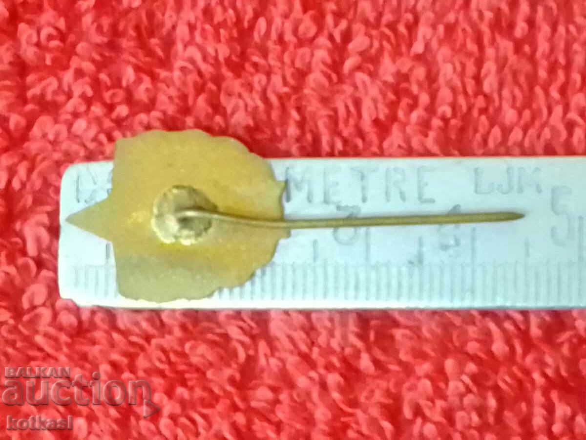 Old social badge bronze enamel pin VIF G. Dimitrov excellent with price 5.50 BGN | € 2.81 Old social badge bronze enamel pin VIF G. Dimitrov excellent with price 5.50 BGN | € 2.81