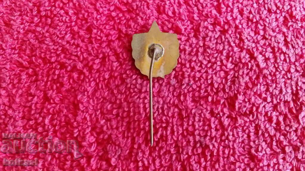 Old social badge bronze enamel pin VIF G. Dimitrov excellent - 5 Old social badge bronze enamel pin VIF G. Dimitrov excellent - 5