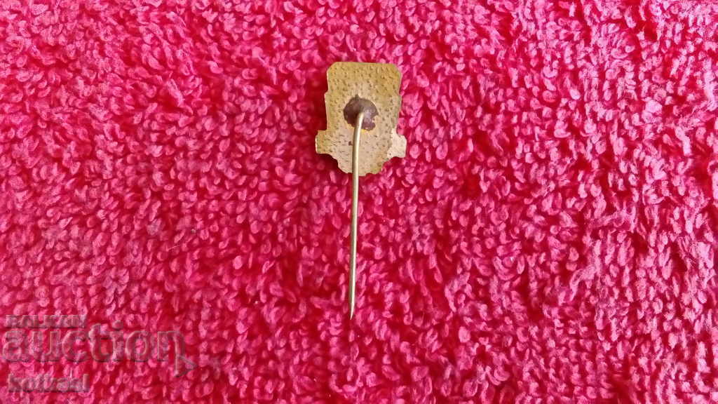 Auction Old social badge bronze enamel pin BSFCS Auction Old social badge bronze enamel pin BSFCS