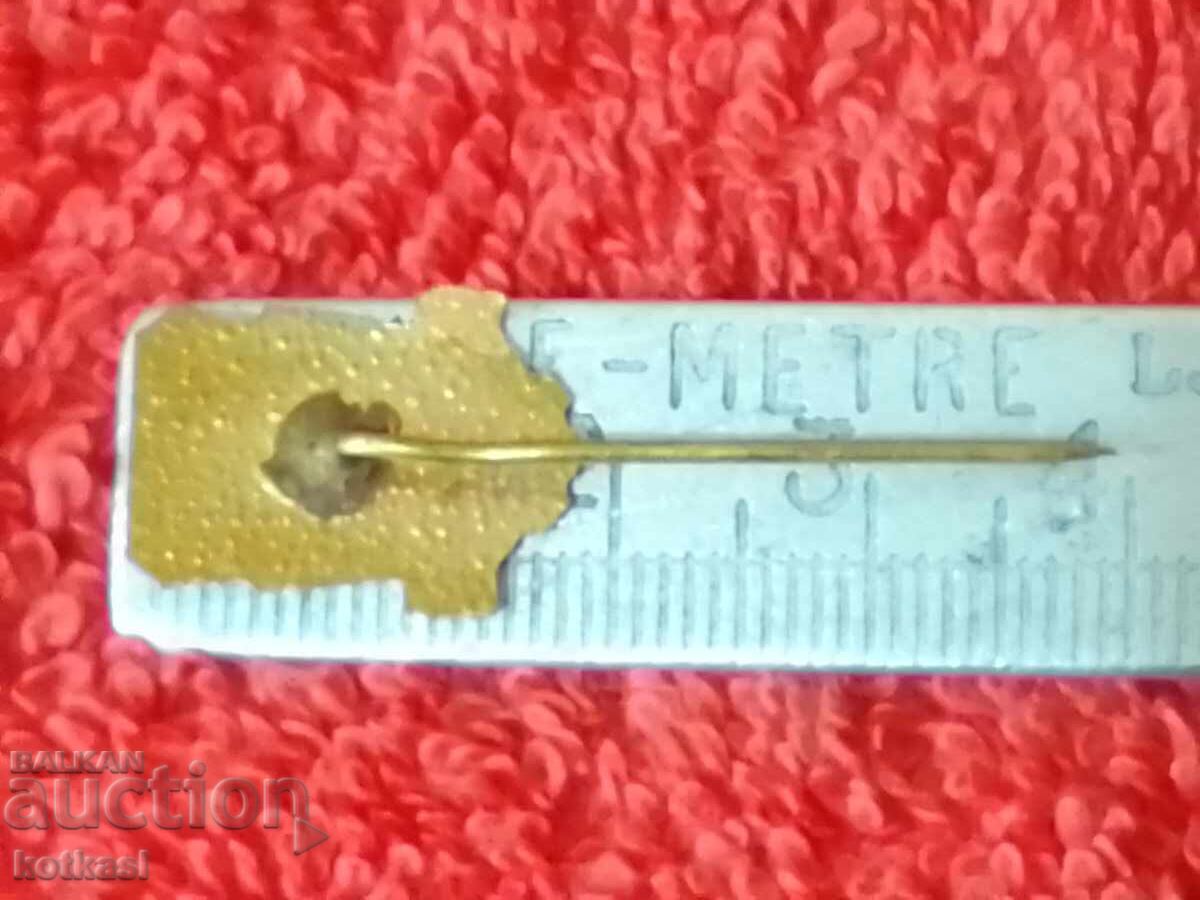 Delivery of Old social badge bronze enamel pin BSFCS Delivery of Old social badge bronze enamel pin BSFCS